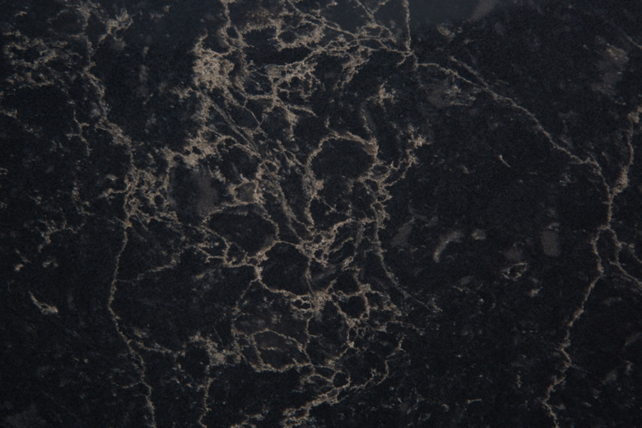 /UQ_temp/images/C_range/Brown-forest-detail 